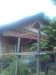 Rumah Tua Suku Melayu Masih Dijumpai di Kawasan Tanjungrhu Pekanbaru
