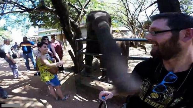Asyik Selfie-selfie, Seekor Gajah Marah dan Tampar Pria Ini