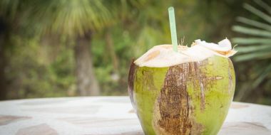 Kenapa Air Kelapa Bisa Sembuhkan Keracunan? Berikut Alasannya