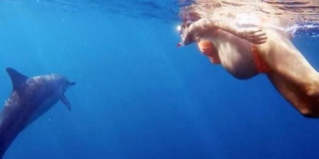 Percaya Bayinya Akan Dapat Bicara dengan Ikan, Wanita Ini Pilih Melahirkan di Bawah Laut Bersama Lumba-lumba