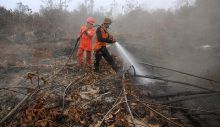 aturan-bakar-lahan-usul-direvisi-menteri-lhk-kebakaran-terjadi-lebih-banyak-di-wilayah-perkebunan