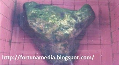 Misteri Legenda Batu Bentuk Kepala Kerbau di Mesjid Jami’ Airtiris Kampar Riau