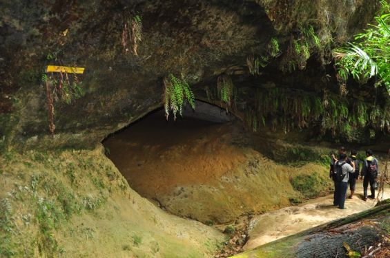 Bukit Huta Rimba Si Kafir, Sejarah Panjang Negeri Pasir Rokan Hulu