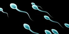 duh-sperma-lelaki-sehat-tinggi-165-cm-dan-sarjana-bisa-ditukar-dengan-iphone-6s