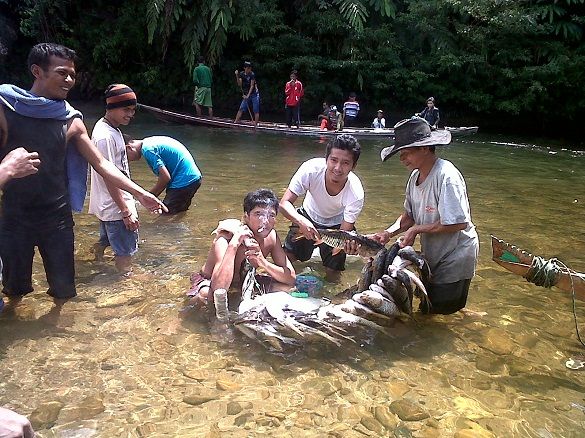 Jangan Coba-coba Mengambil Ikan di Lubuk Larangan Desa Adat Batu Songgan Kampar , sebelum Waktunya…
