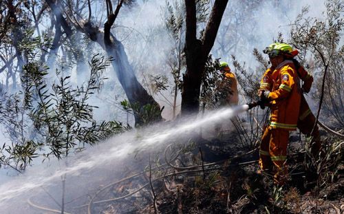 Tahun 2016, 10.676 Hektar Hutan dan Lahan Terbakar di Riau
