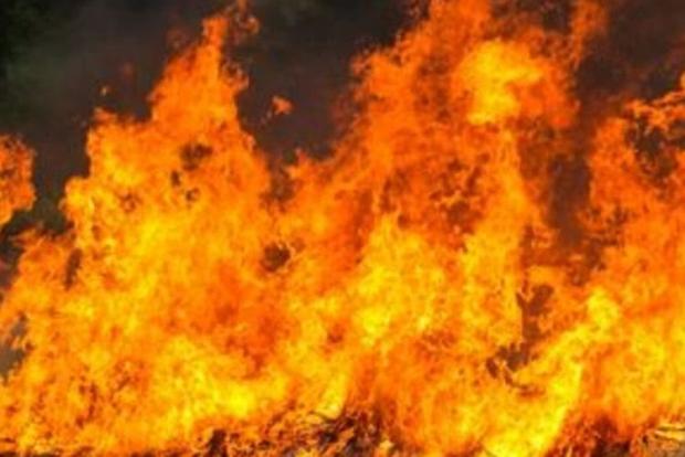 Kantor Bappeda Riau Dibakar Seseorang karena Kesal Istrinya Masuk Kerja di Hari Libur Imlek