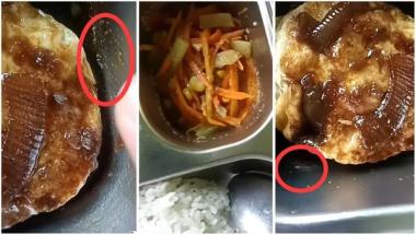 boperasional-47-sppg-disetop-sementara-imbas-menu-mbg-busuk-hingga-berbelatungb