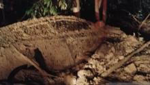 longsor-di-kelok-9-pemudik-asal-pekanbaru-lolos-dari-maut-saat-mobil-yang-ditumpangi-tertahan-pohon