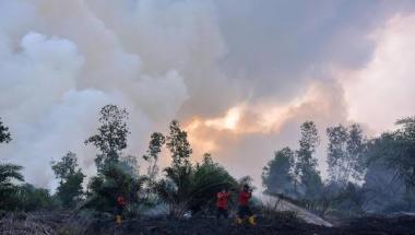 bsudah-548-hektar-lahan-terbakar-di-pelalawan-riau-sejak-2024b