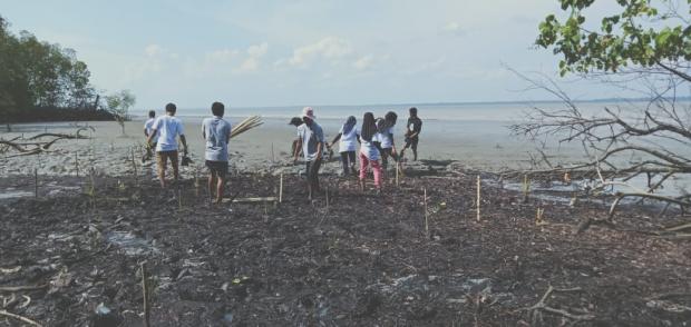 Abrasi Capai 5-15 Meter Tiap Tahun, Pegiat Lingkungan Gelar Aksi Tanam 10 Ribu Mangrove di Pinggir Pantai Kayuarapermai Siak