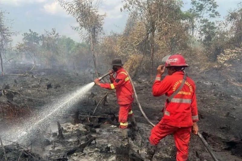 <b>Polres Kampar Riau selidiki dugaan lahan 30 hektare sengaja dibakar</b>