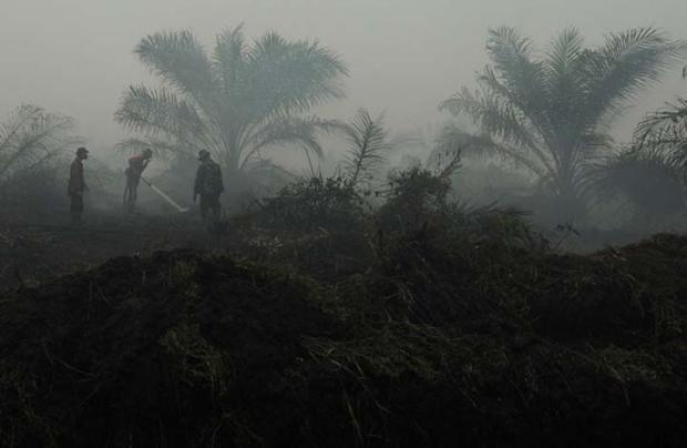 Polda Riau Telusuri Laporan Temuan Titik Api di Areal Lima Perusahaan Perkebunan dan Hutan Tanaman Industri
