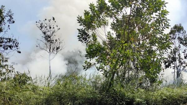 Hampir 1.000 Hektare Lahan Terbakar di Riau, Bengkalis Paling Banyak