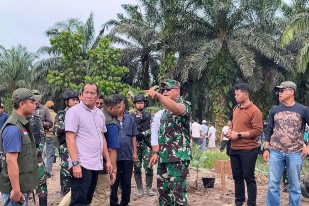<b>Warga Kelompok Tani di Baganlimau Pelalawan Serahkan 3 Ribu Hektare Sawit di TNTN</b>