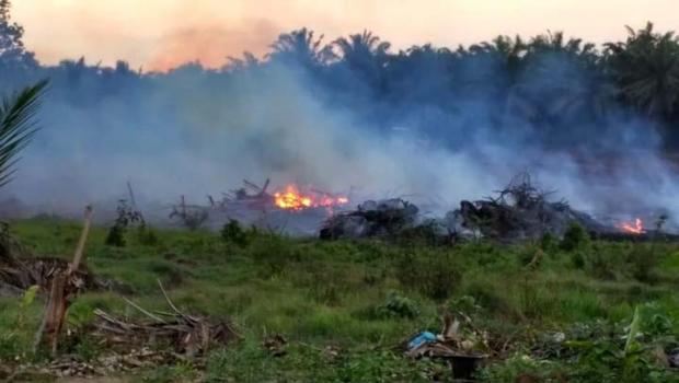 Dua Pria yang Ditangkap Ini <i>Ngeles</i> Pembakaran Lahan di Desa Kototandun Rokan Hulu untuk Usir Lebah
