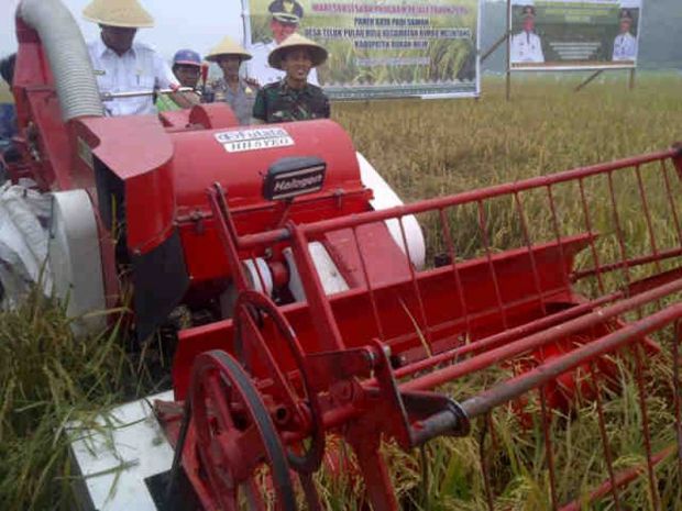 Bupati Rohil Cekatan Potong Padi dengan Mesin ”Combine Harvester”, Pesannya ke Petani: Lahan Sawah Jangan Dialih Fungsi