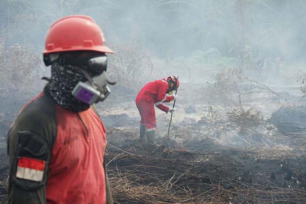Status Darurat Pencemaran Udara di Riau Tak Diperpanjang