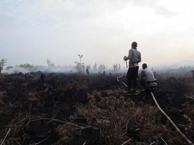 Tersangka Karhutla Riau yang Sedang Diproses Bareskrim Polri Pernah Terjerat Kasus Lahan