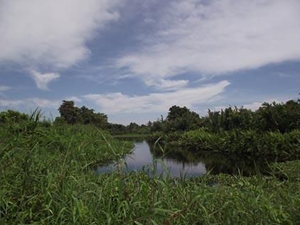 Kisah Tragis di Balik Asal-usul Nama Danau ”Janda Gatal” yang Eksotis