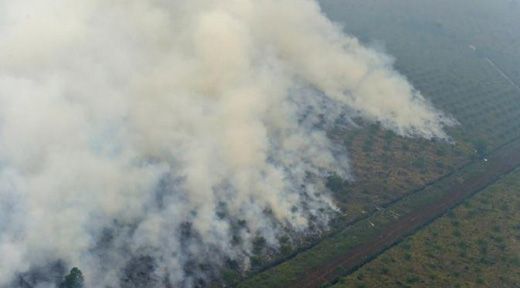 Inilah Sejumlah Keganjilan pada SP3 untuk 15 Perusahaan Terduga Pembakar Hutan...