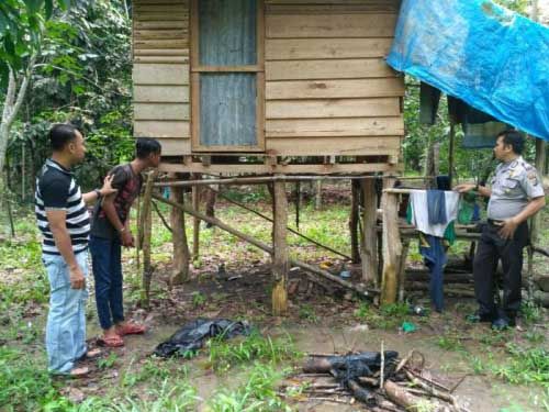Polisi Gelar Reka Ulang Pencabulan Bocah 13 Tahun yang Dilakukan Pria Bertato Bintang Tiga di Gubuk Tengah Hutan Bengkalis