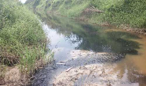 Ups! PT Gandaerah Hendana Kepergok Buang Limbah Cair PKS ke Sungai Andan Ukui Pelalawan