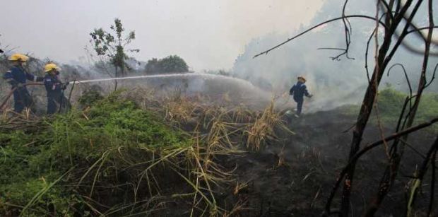 Pagi Ini 79 Titik Panas Terpantau di Sumatera, Provinsi Riau Terbanyak