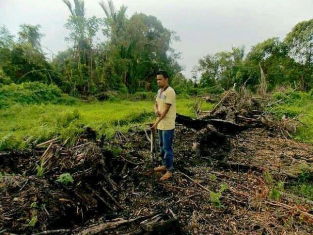 Mantan Kades Rambaian Inhil Diduga Jual Ribuan Hektar Lahan Warga ke PT Citra Palma Kencana