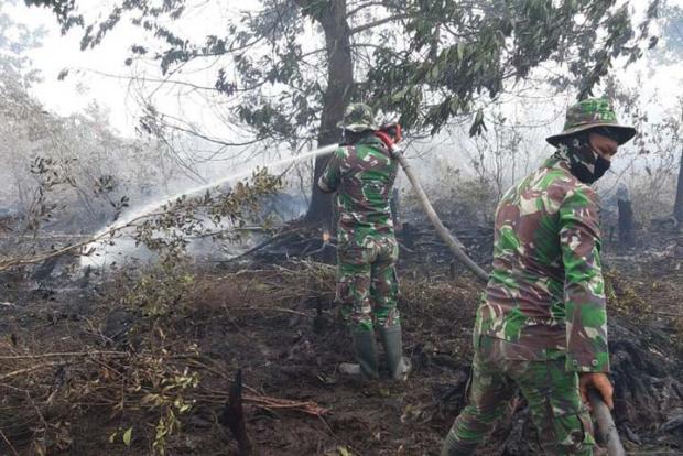 Kebakaran Hutan di Dumai Dahsyat, Satu Peleton Pasukan Kostrad Ditarik dari Rupat untuk Bantu Pemadaman