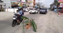 protes-jalanan-rusak-warga-tanam-pohon-pisang-di-lubang-jalan-pemuda-pekanbaru