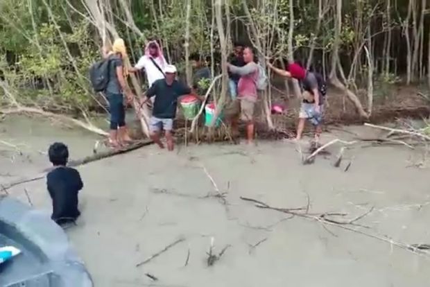 Sudah 2 Hari 2 Malam Tak Makan, 13 TKI Ilegal dari Malaysia Ditemukan Telantar di Hutan Bakau