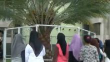 pohon-kurma-di-mesjid-raya-an-nur-pekanbaru-jadi-tujuan-wisata-favorit-umat-islam-pekanbaru-jelang