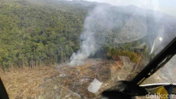 Lahan Terbakar di Rokan Hilir dan Disegel Satgas Milik PT Sumatera Riang Lestari, Ini Penampakan dari Udara