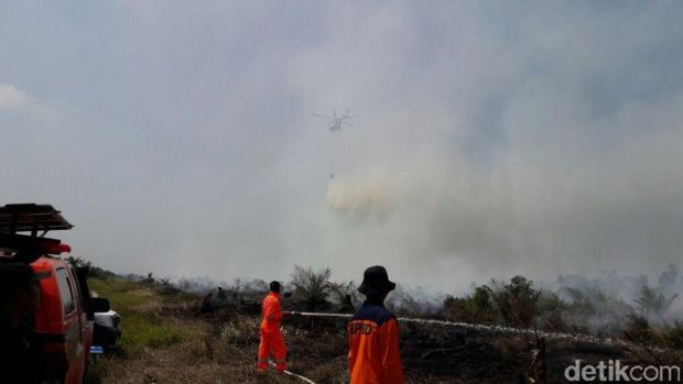 Satgas Pencegahan Karhutla Segel Lahan yang Terbakar di Pelalawan, Rokan Hilir dan Dumai