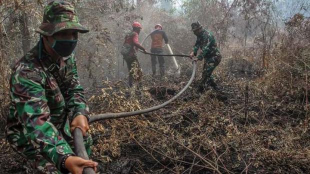 Walhi Tak Rela TNI Padamkan Karhutla yang Dipicu Korporasi, ”Penjaga Kedaulatan Kita Difungsikan sebagai Pemadam Kebakaran”