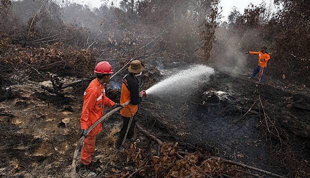 <b>BPBD Riau Harap Seluruh Kabupaten/Kota di Riau Tetapkan Status Siaga Darurat Karhutla, Tujuannya?</b>