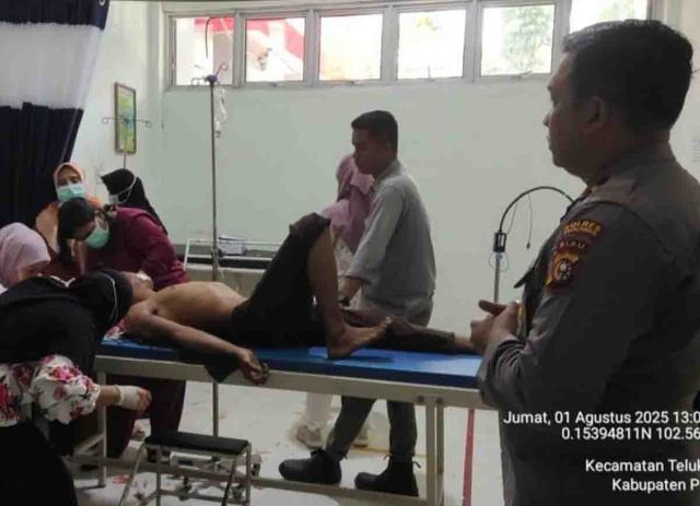 <b>Saat Semprot Gulma, Pekerja Diserang Harimau di Areal Konsesi PT Arara Abadi Pelalawan Riau</b>