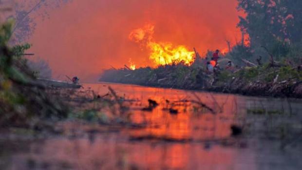 Api Masih Membara di Hutan Sumatera, Riau Paling Banyak Sumbang Titik Panas