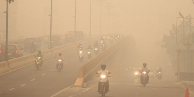 4 Bulan Diselimuti Kabut, 97.531 Warga Riau Jadi Korban Asap, 4 Orang Tewas
