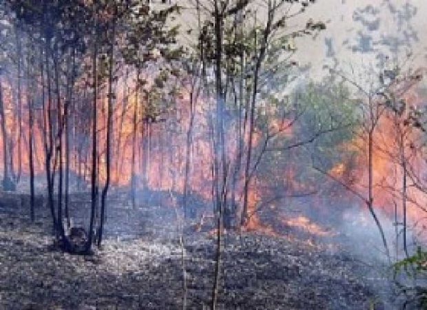 Satu Titik Panas Kembali Terdeteksi di Riau, 15 di Sumatera