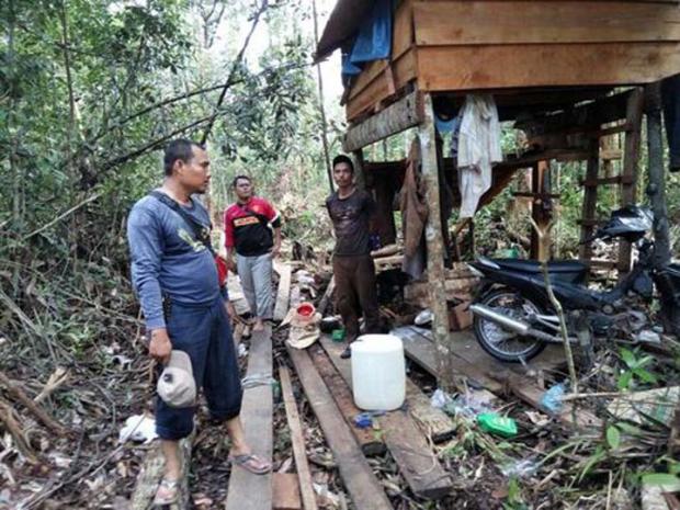 Telusuri Sejak Akhir Januari, Akhirnya Polisi Berhasil Ringkus 6 Perambah Hutan Cagar Biosfer Bengkalis, di Kawasan Penyangga Sudah Berdiri Perkebunan Sawit