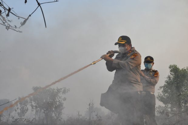 Terbakar di Awal Maret, 7 Hektar Lahan di Siak Ludes