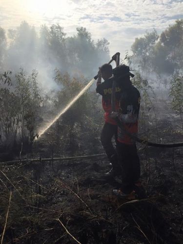Aduuhh… Kebakaran Hutan dan Lahan Tak Kunjung Padam di Bengkalis, Masyarakat Berjaga hingga Larut Malam