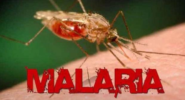 Kabupaten Pelalawan dan Indragiri Hulu Belum Eliminasi Malaria