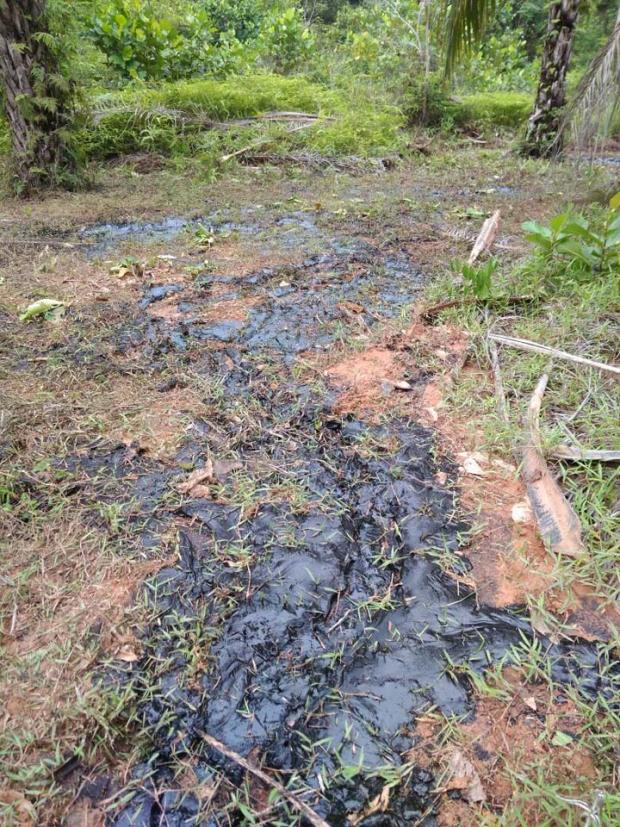 Keran Pipa Minyak PT Chevron di Bangkobakti Rokan Hilir Bocor
