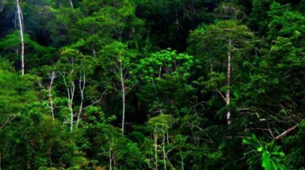 Warga Kepulauan Meranti Banyak yang Jadi Korban Kawasan Hutan