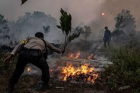 <b>Hari Ini, Puluhan Titik Panas Diduga Titik Api Karhutla Masih Membara di Riau</b>