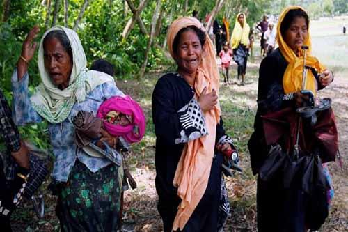Ajak Warga Riau Doakan Muslim Rohingya, MUI Riau Minta Presiden Jokowi Bersikap