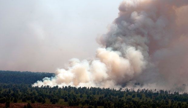 Tersangka Pembakar Hutan dan Lahan di Riau Bertambah Jadi 95 Orang